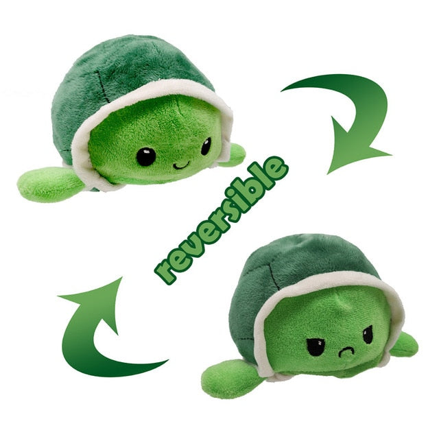 Reversible Turtle