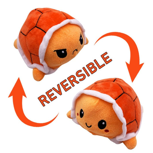 Reversible Turtle